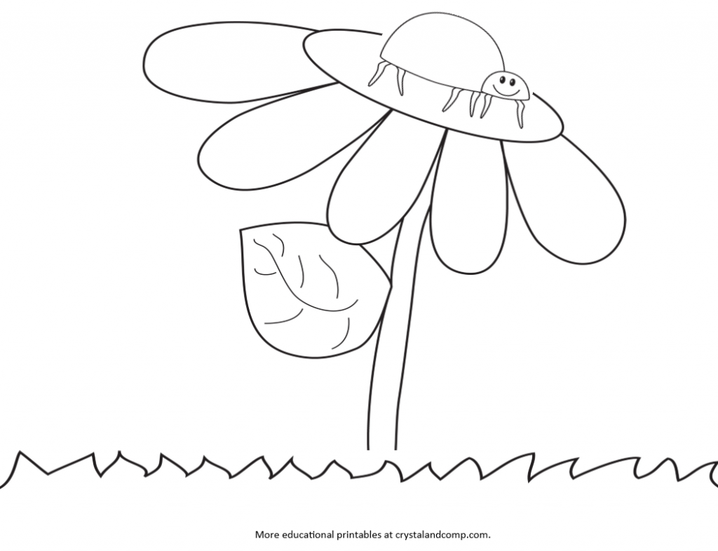 lady bug eggs coloring pages - photo #6