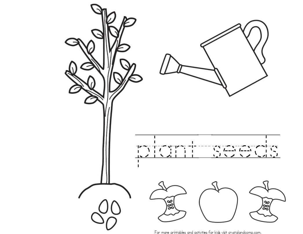 coloring pages seeds and plants - photo #6