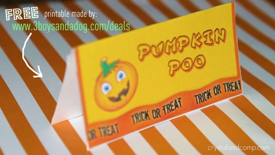 Halloween Craft Ideas: Pumpkin Poo with Free Printable - CrystalandComp.com
