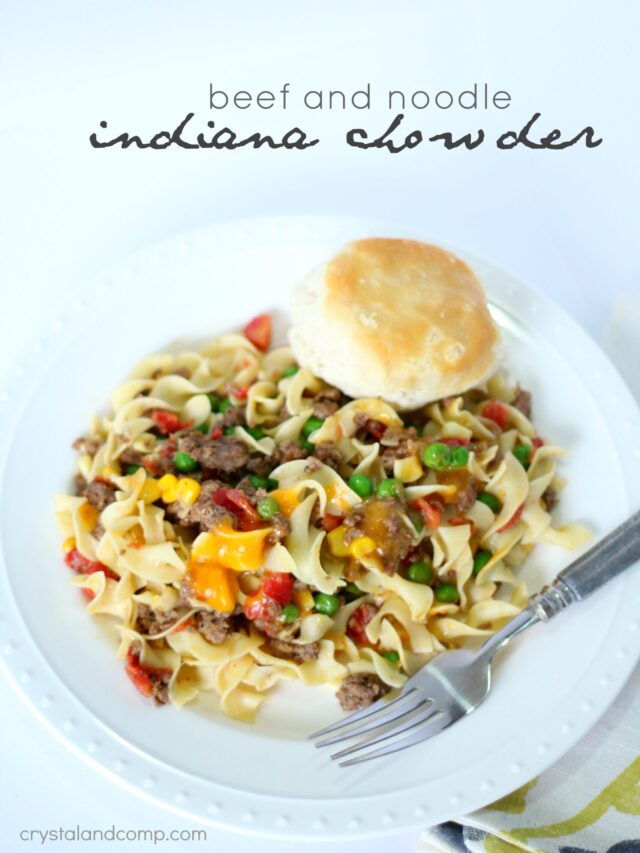 Indiana chowder a beef and noodle meal