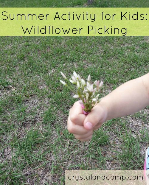 Summer Activities for Kids wildflower picking