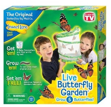 Live Butterfly Garden just $11.20 (reg $19.99)