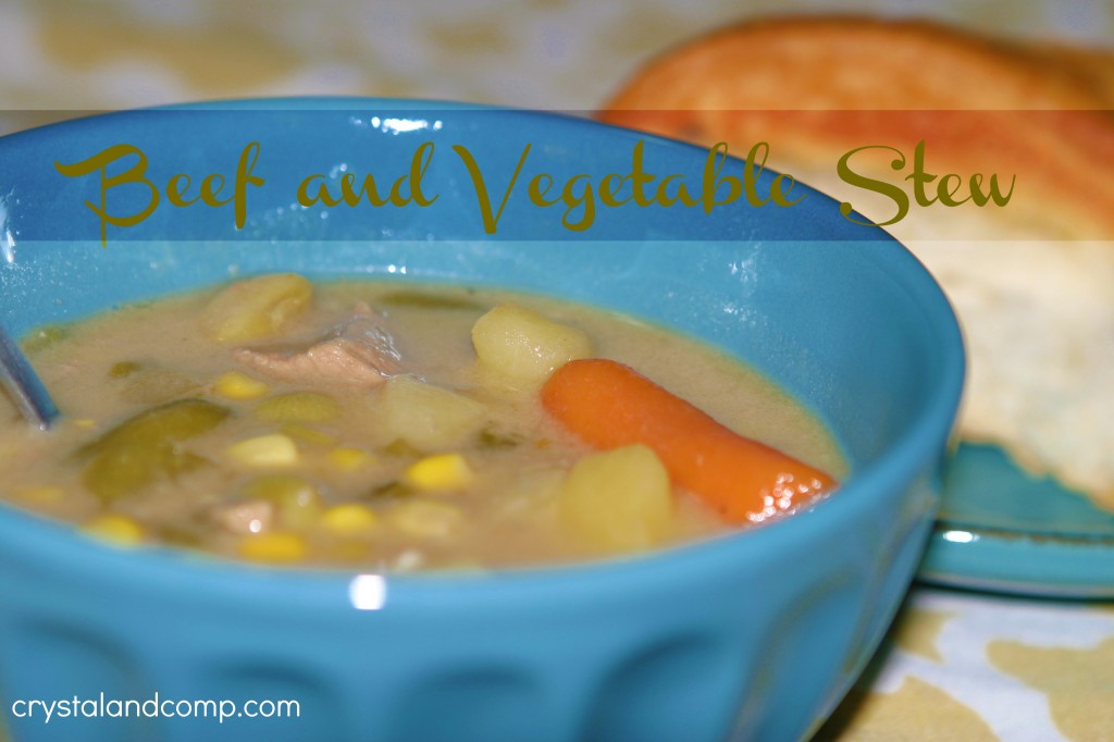 easy recipes: beef and vegetable stew 
