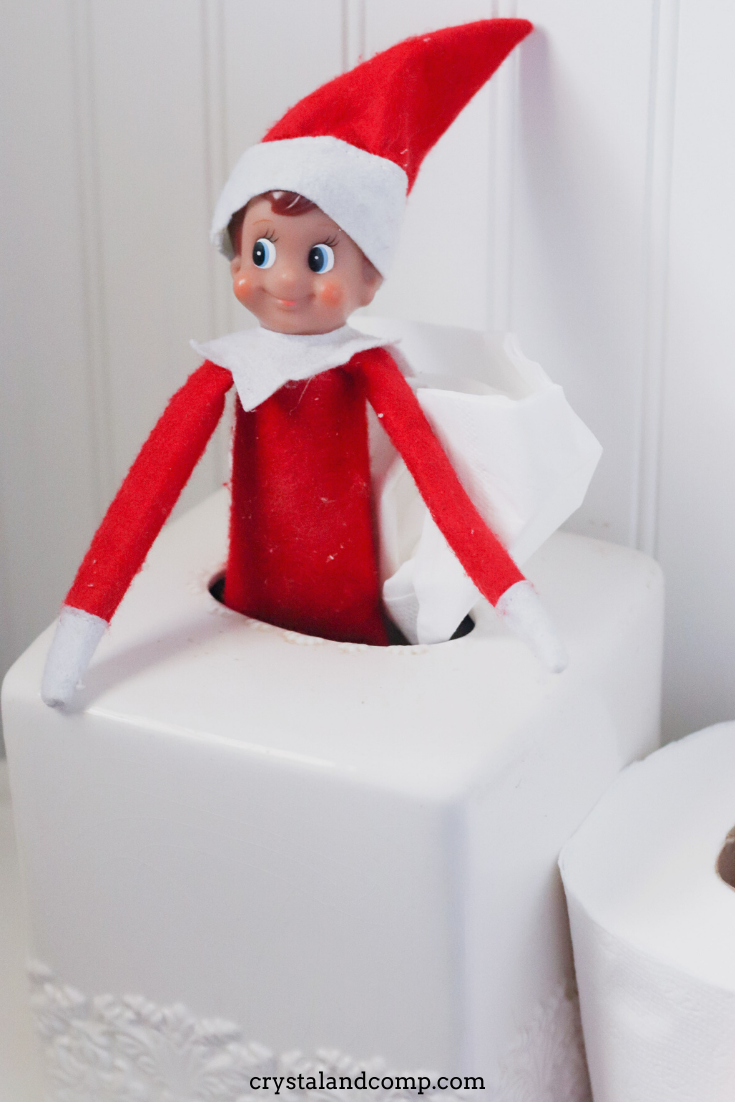Elf on the Shelf Toilet Paper Idea