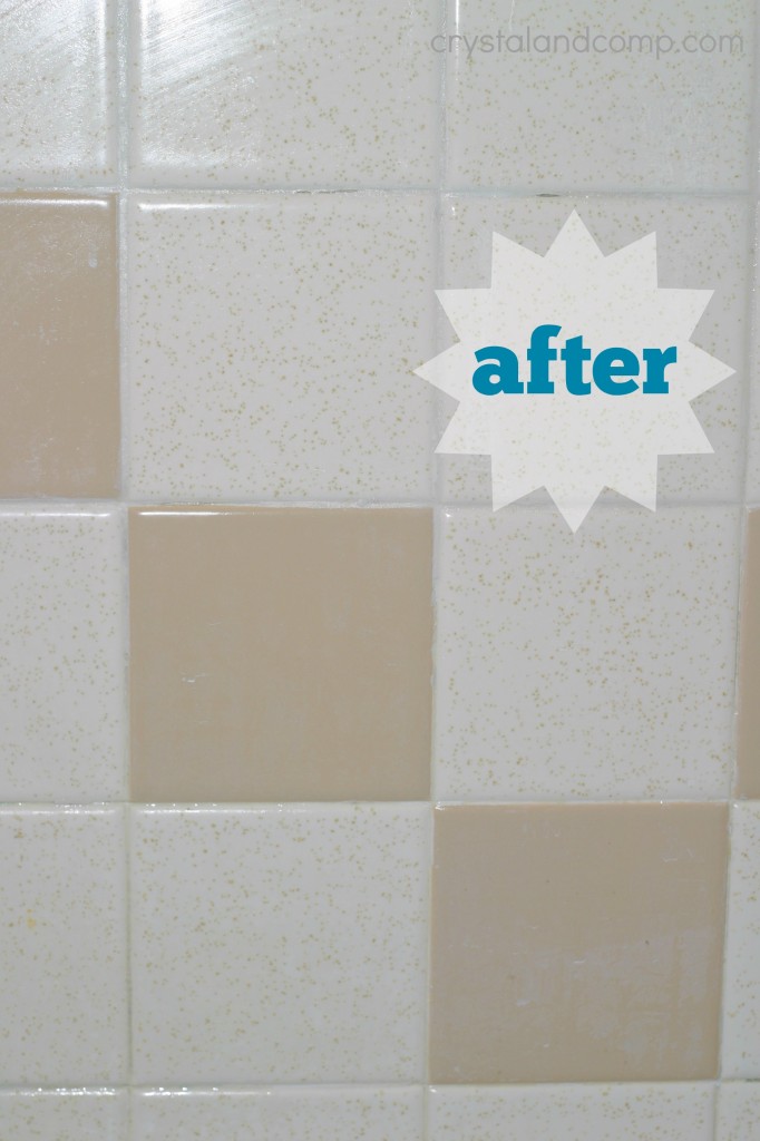 store bought mold remover