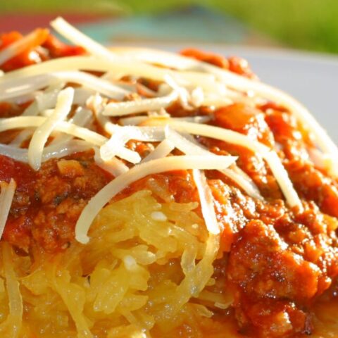 cropped-easy-spaghetti-recipe-using-spaghetti-squash.jpg