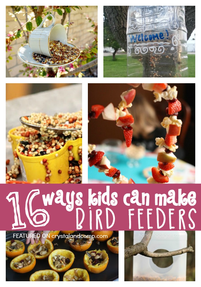 16 ways kids can make bird feeders