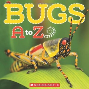 bugs