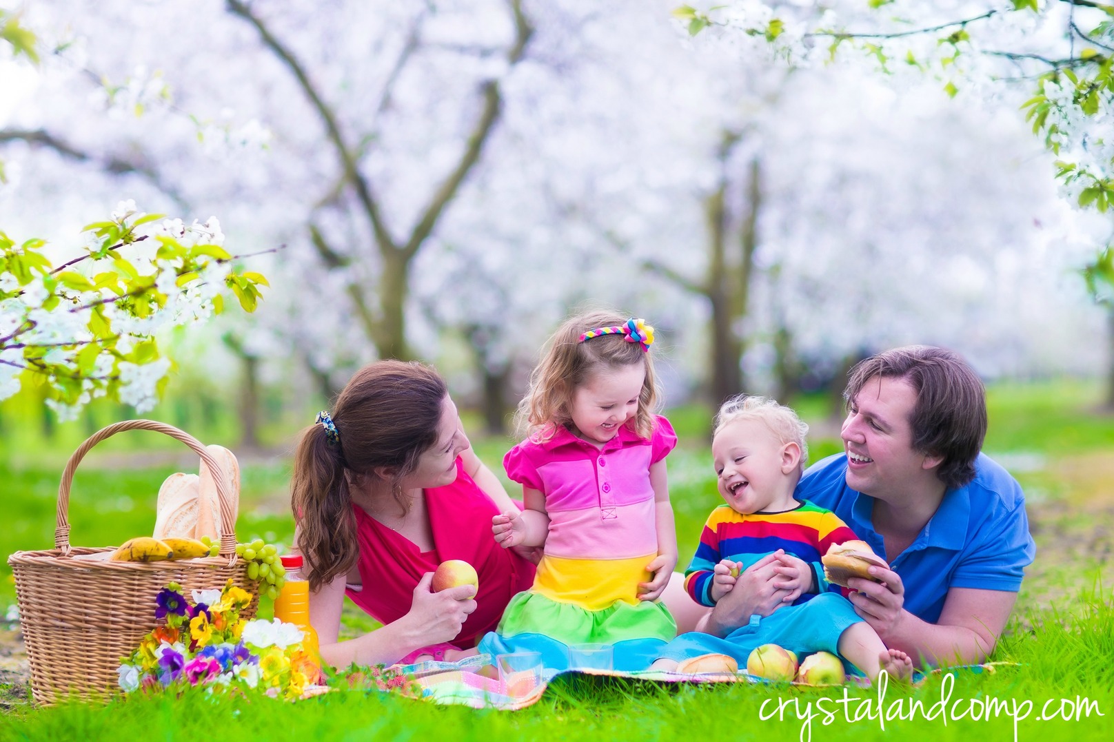 25 Family Picnic Ideas You Will Love
