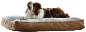 pet bed