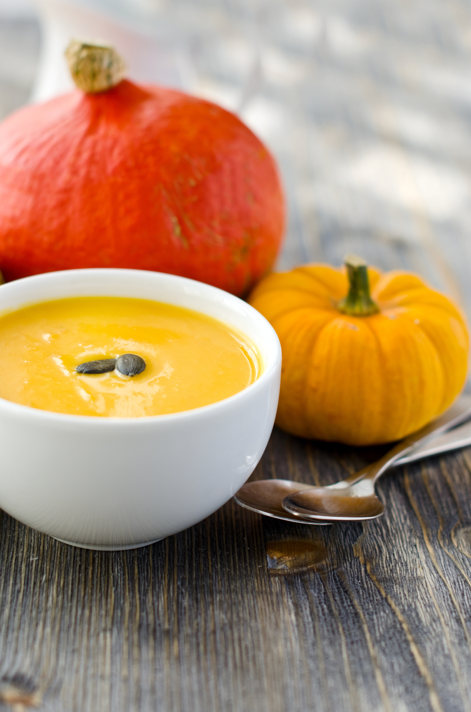 30 Simply Delicious Fall Soup Recipes