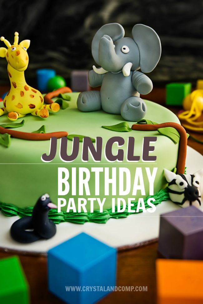 Jungle Themed Birthday Party Ideas