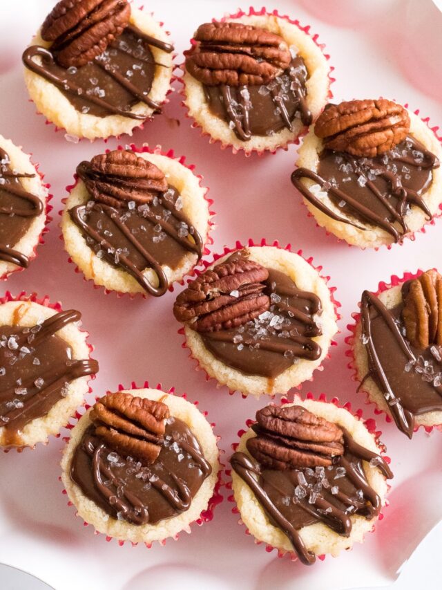 turtle sugar cookie bites closeup on stand