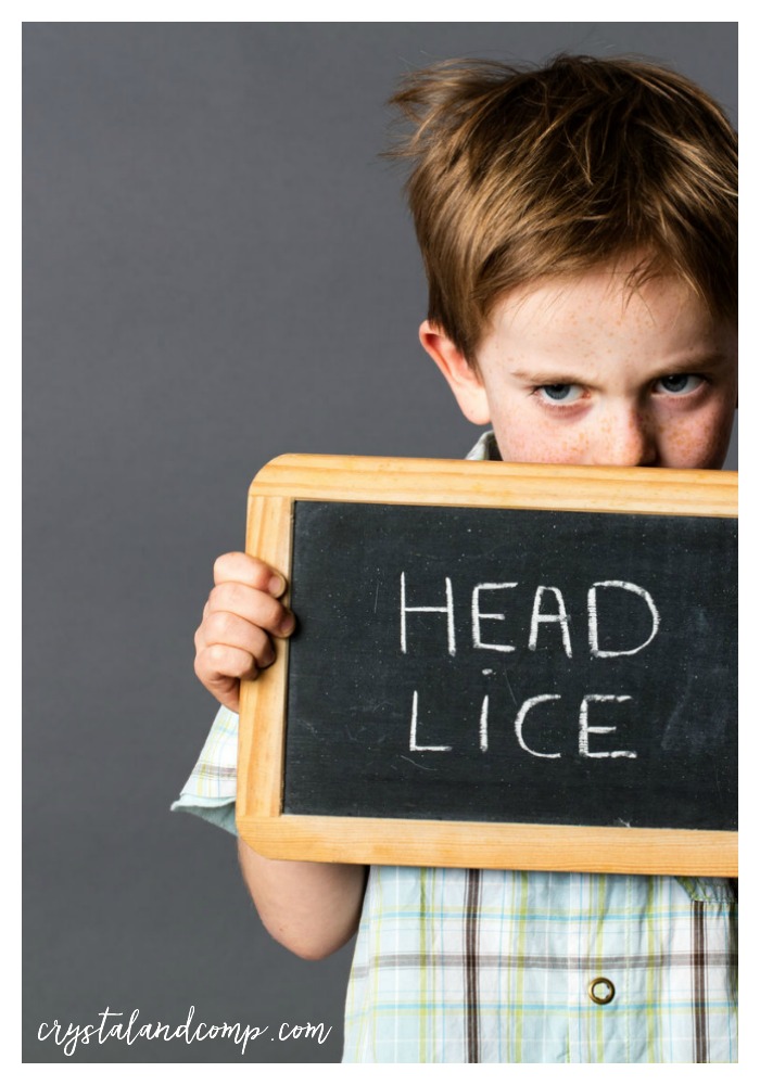 What to Do if Your Kids Brings Home Head Lice