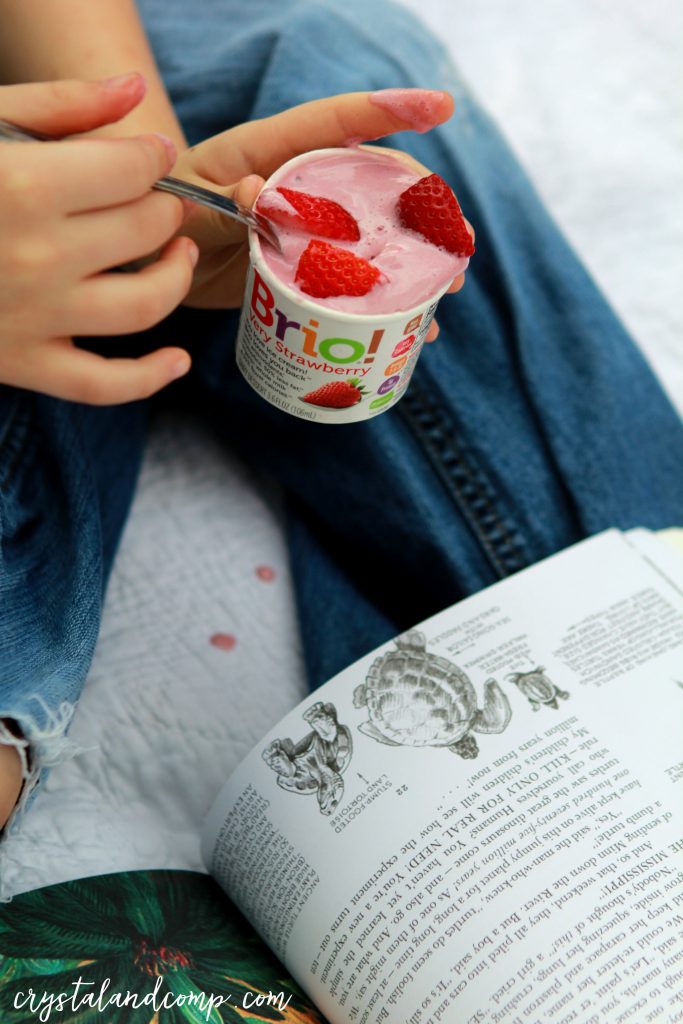 brio-ice-cream-party-strawberry