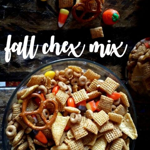 This Fall Chex Mix is to Die For
