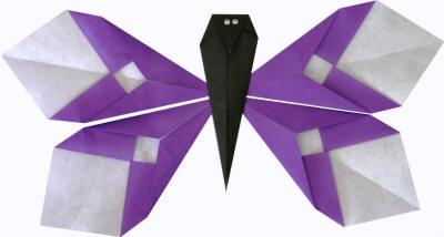 Image for Origami Butterfly