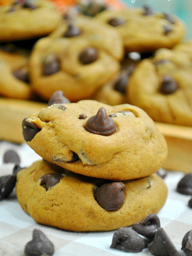 pumpkin spice chocolate chip cookies