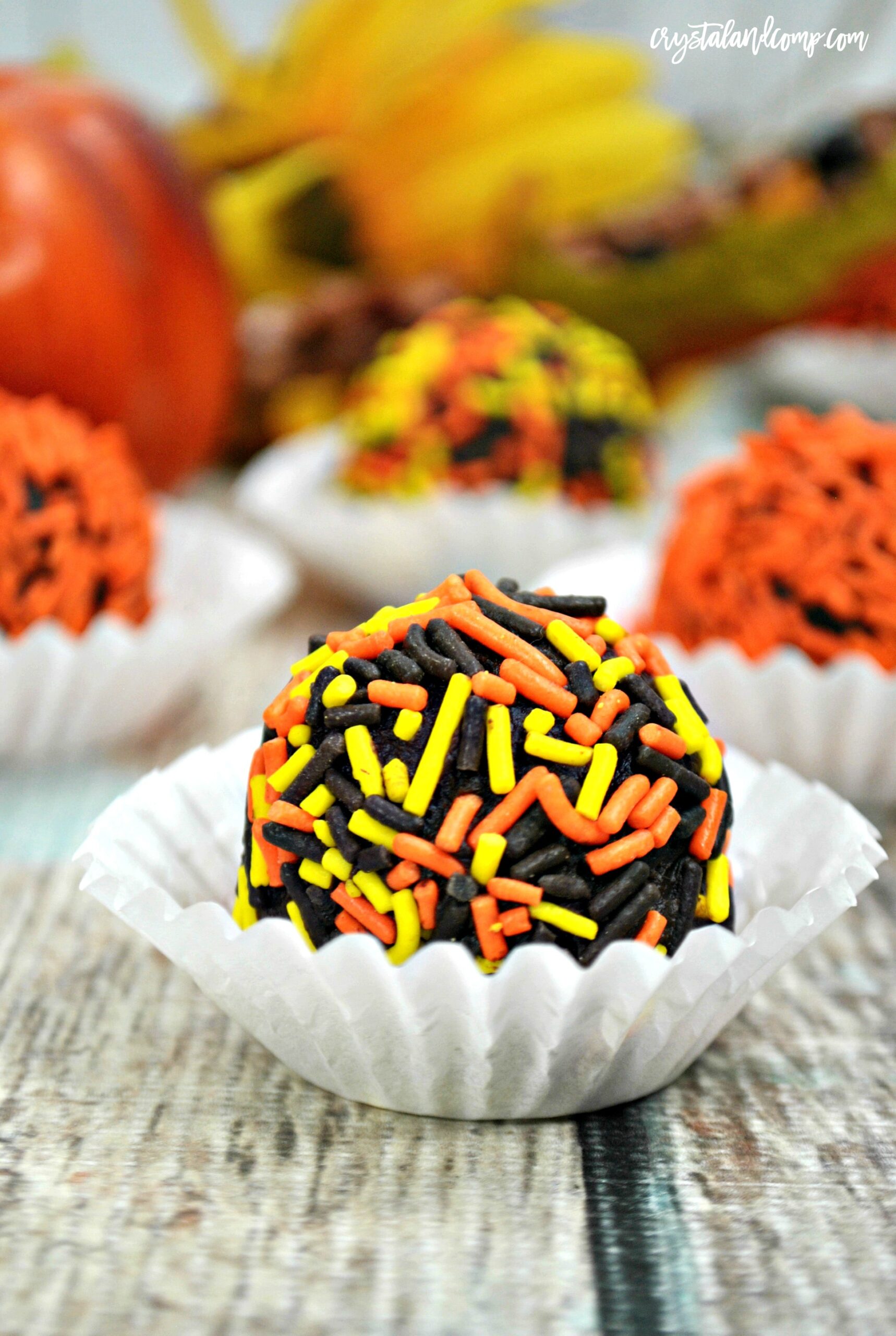 Pumpkin Spice and Chocolate Cake Balls