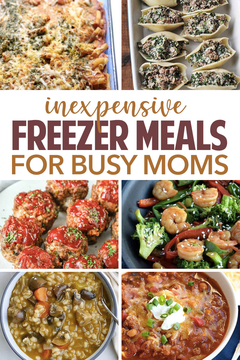 100 Freezer Meals for Busy Families