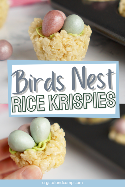 Birds Nest Rice Krispies