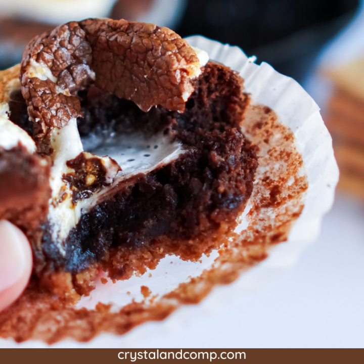 S'more Cupcakes 