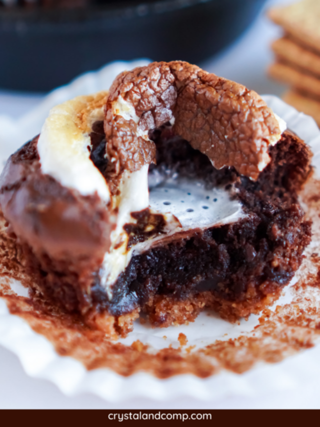 cropped-Smores-cupcakes-4.png