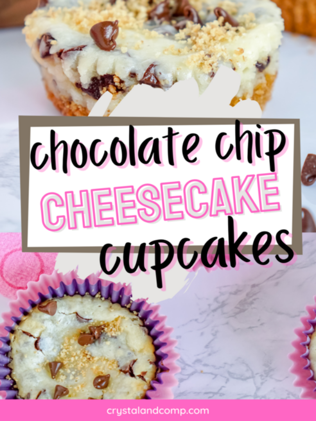 Chocolate Chip Cheesecake Cupcakes 1