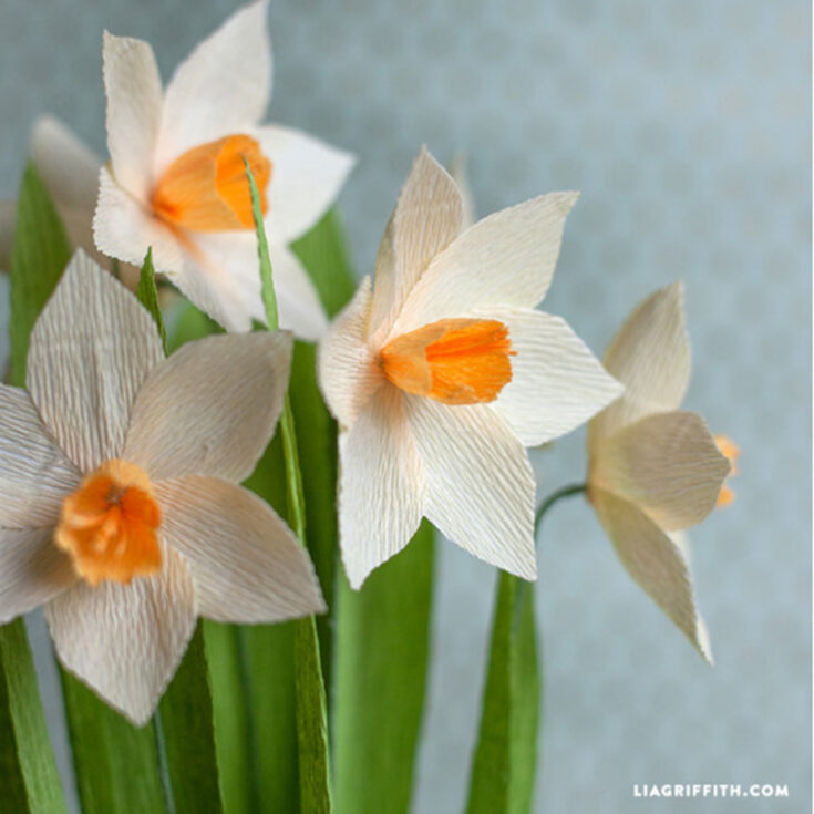 Image for Crepe Paper Daffodils - Lia Griffith