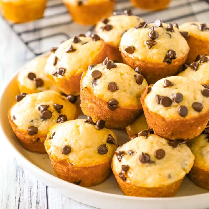 Image for Mini Chocolate Chip Muffins