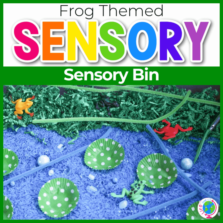Image for Frog & Pond Habitat Sensory Bin