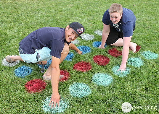 Image for "Lawn Twister" & Other Creative Family Reunion Ideas!