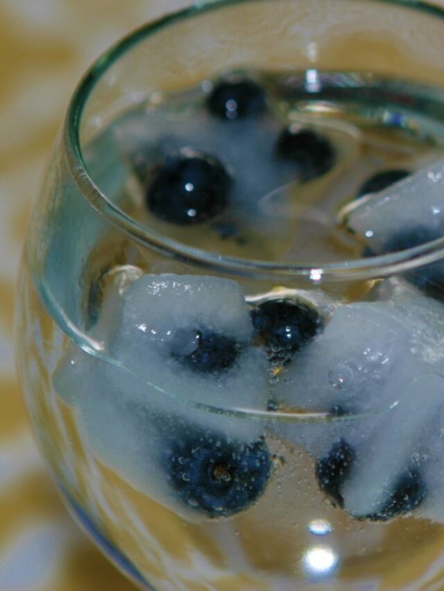 cropped-sparkling-blueberry-summer-spritzer-1024x682-1.jpg