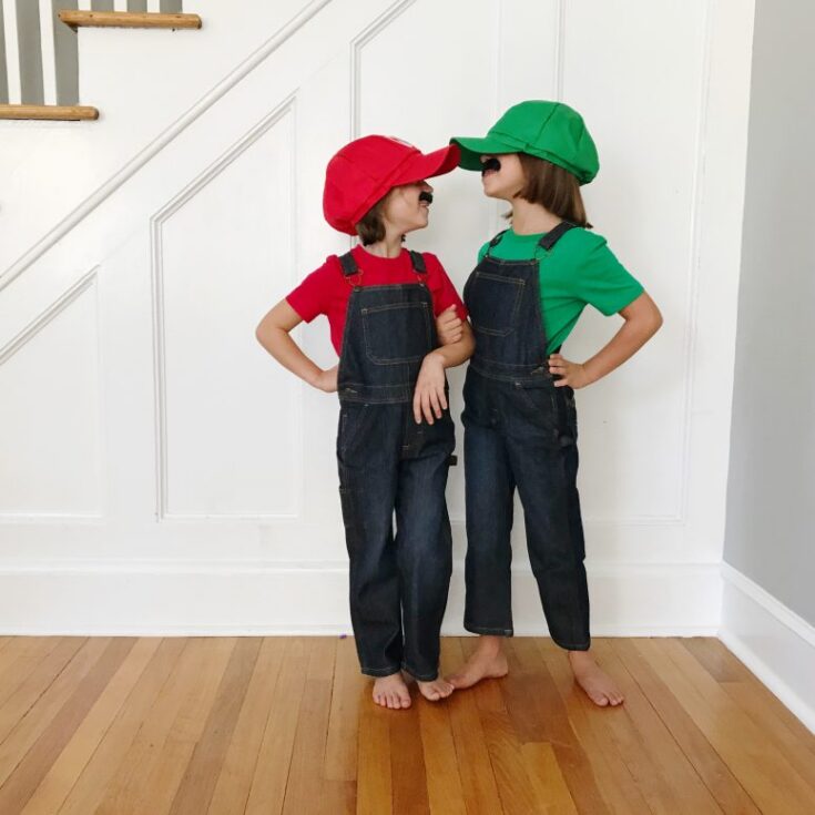 Image for DIY Costumes: Mario and Luigi