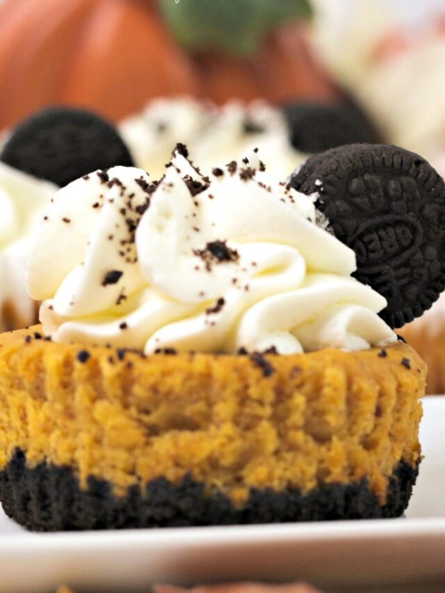 closeup of oreo pumpkin mini cheesecakes