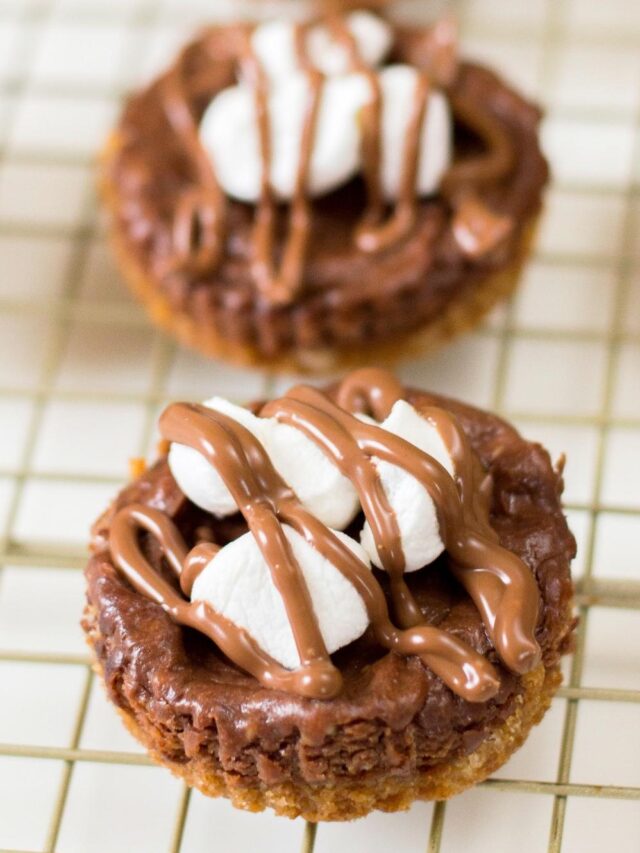 closeup of smores cheesecake recipe