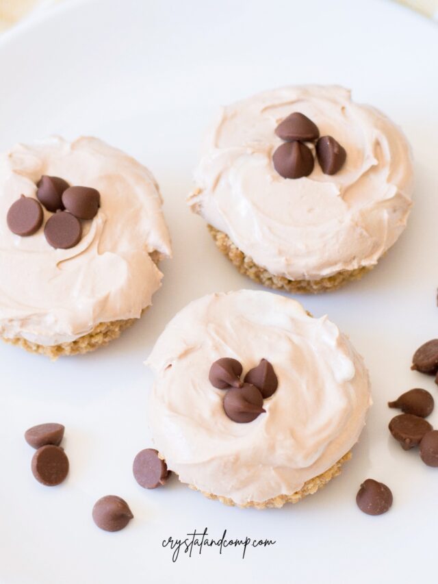 no bake chocolate mini cheesecakes with chips