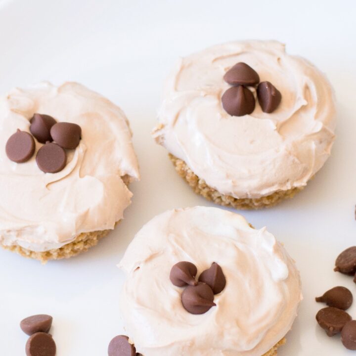 no bake chocolate mini cheesecakes with chips