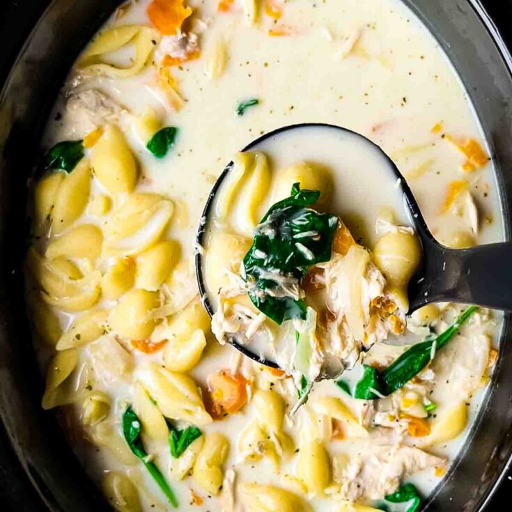 Image for Easy Slow Cooker Creamy Chicken Soup with Pasta and Spinach