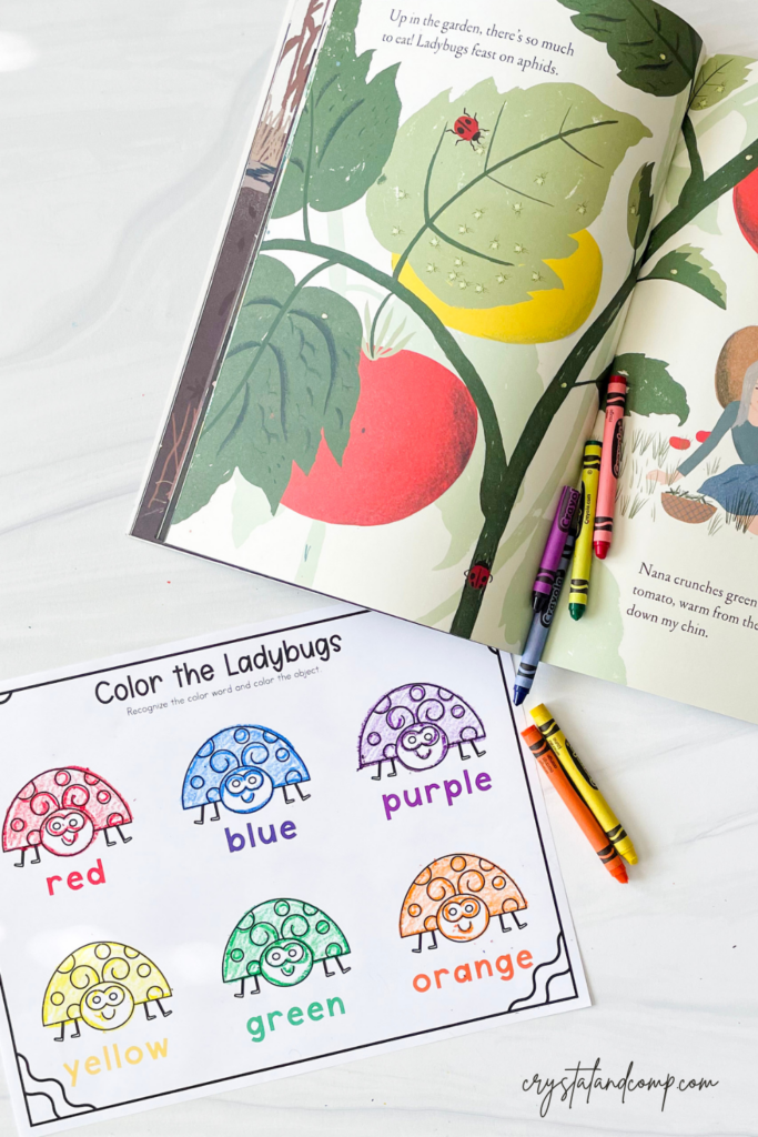 color worksheet for preschoolers