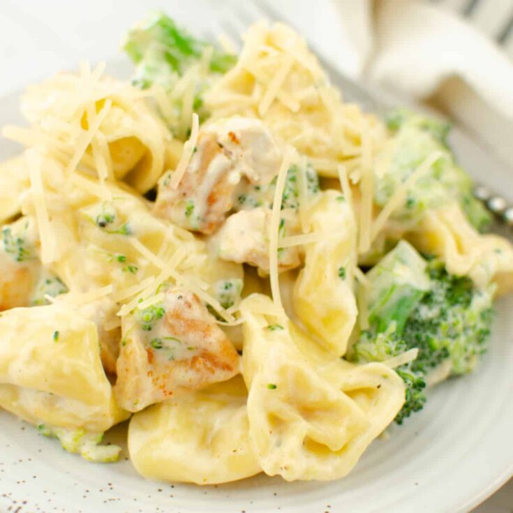 Image for Cheesy Chicken Broccoli Tortellini