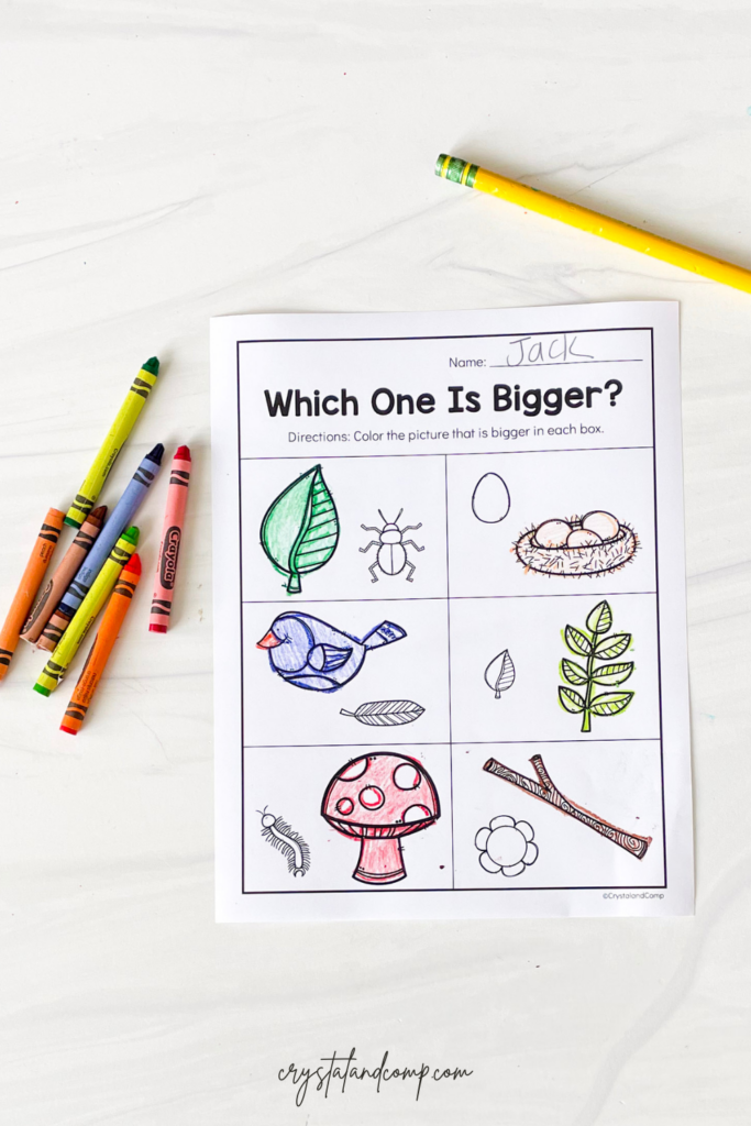 which one is bigger preschool printable