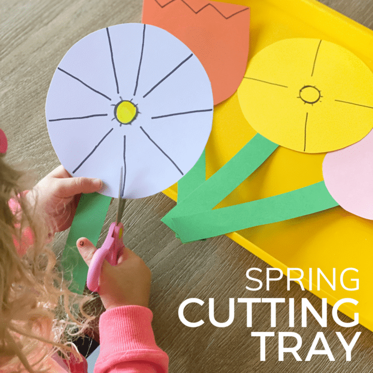 Image for Scissor Skills Practice Spring Cutting Tray