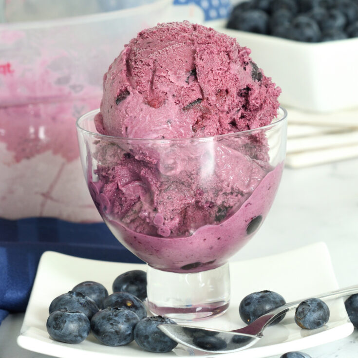 Image for Homemade Blueberry Ice Cream