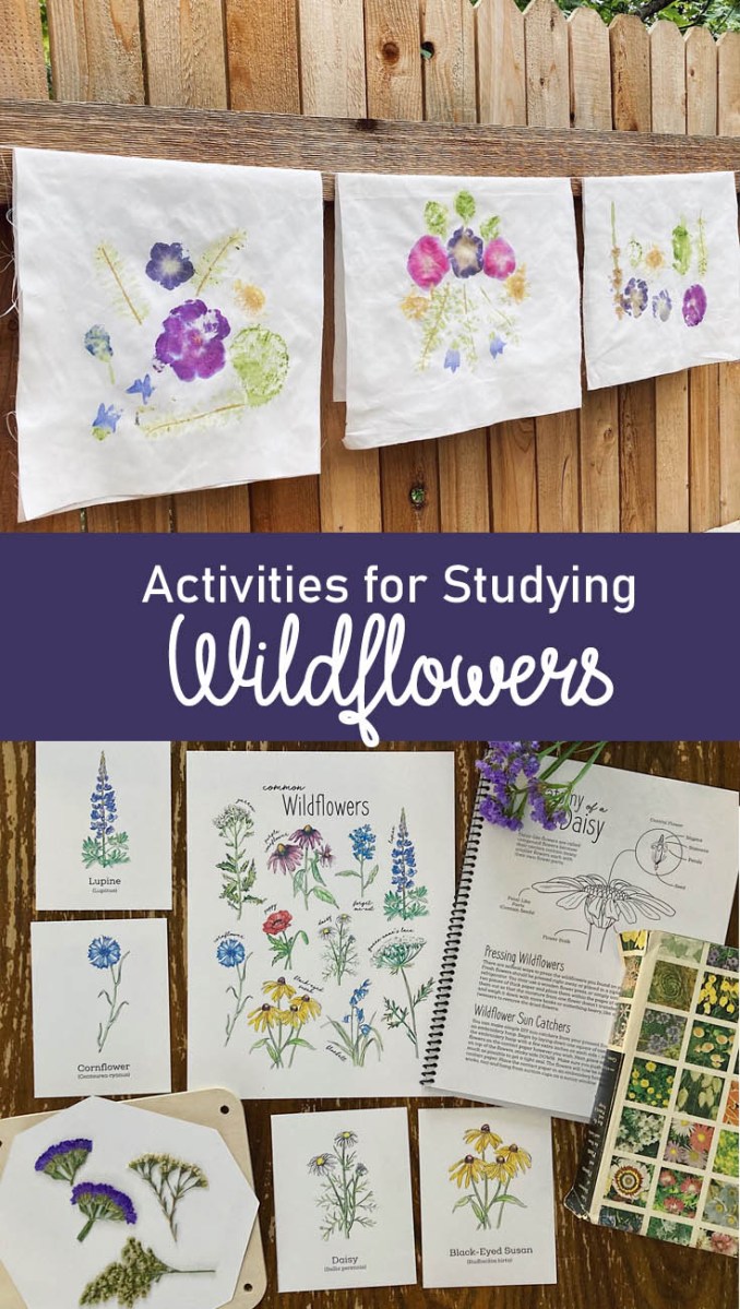 Image for Flower Pounding Craft + Wildflower Nature Study
