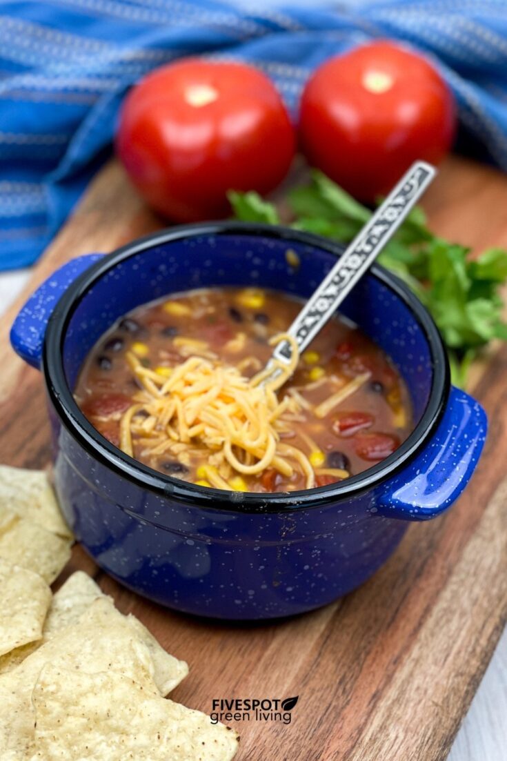 Image for Healthy Vegetarian Tortilla Soup