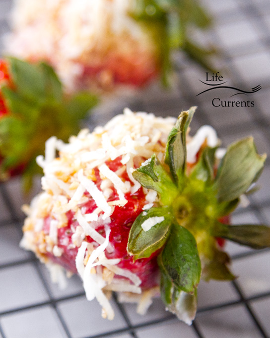 Image for Coconut Dipped Strawberries