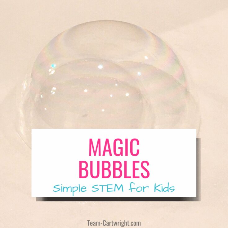 Image for How To Make DIY Magic Unpoppable Bubbles