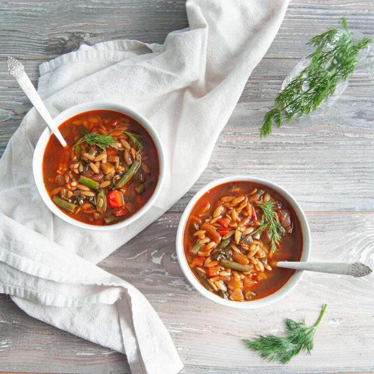 Image for Vegan Orzo Soup with Seasonal Veggies