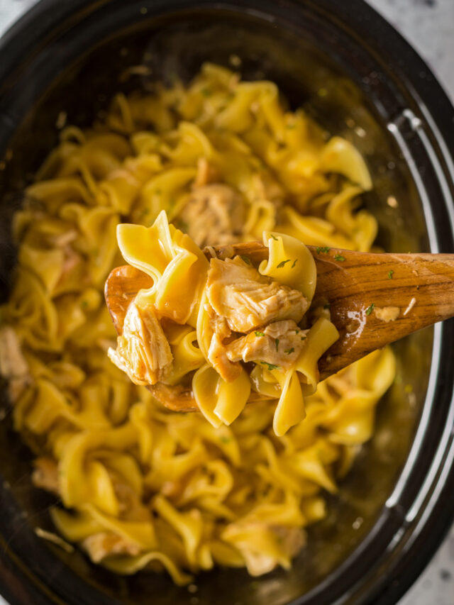cropped-4-Ingredient-Chicken-and-Noodles-on-spoon.jpg